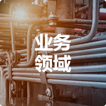 业务领域