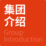 集团介绍