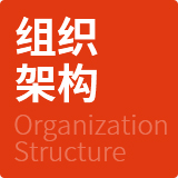 组织架构
